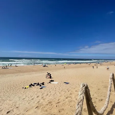 Surf 'n' Chill Campsite *